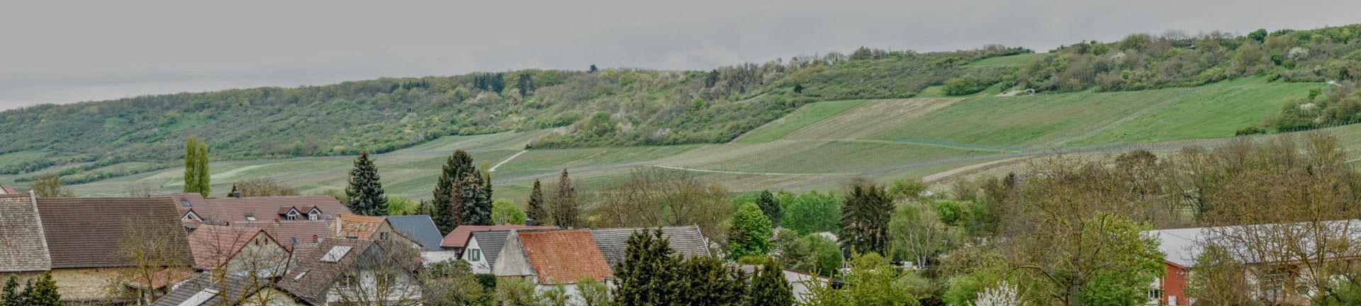 Appenheim panorama